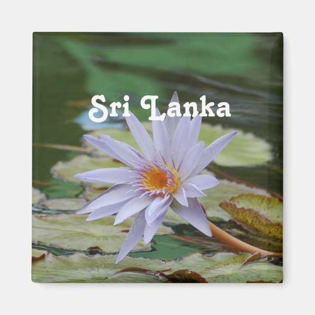 Sri Lanka Water Lily Magnet (Front)