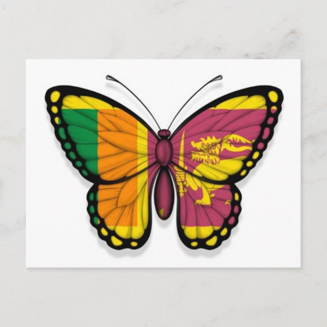 Sri Lankan Butterfly Flag Postcard (Front)