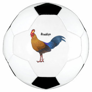 Sri Lankan junglefowl bird mapping illustration Football
