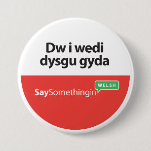SSiW New Speaker Badge