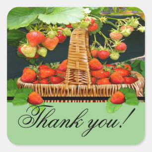 Sstrawberry Basket Thank You Square Sticker
