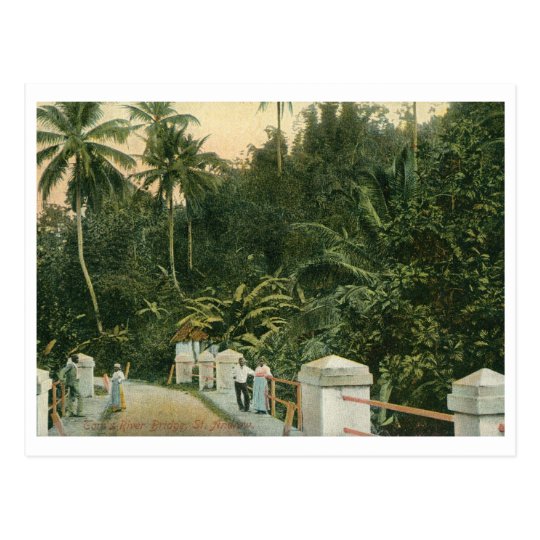 St. Andrew, Tom's River Bridge, Jamaica Vintage Postcard