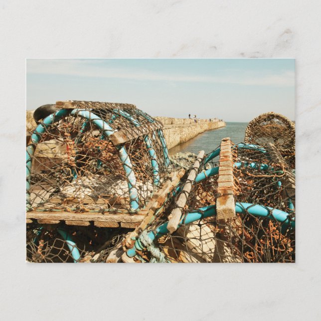 St Andrews Harbour Postcard (Front)