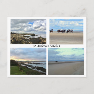 St Andrews Scotland Beaches, West Sands, Horses Postcard