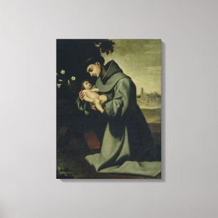 St. Anthony of Padua Canvas Print