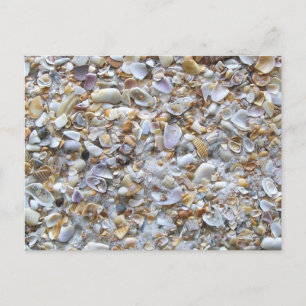 St. Augustine Beach Sand. Tiny Shells Florida Postcard