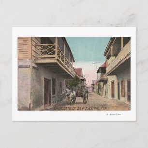 St. Augustine, Florida - View of Charlotte St Postcard