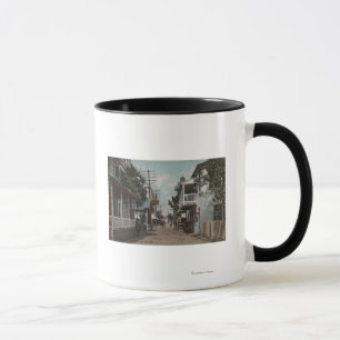 St. Augustine, Florida - View of St. George St. Mug