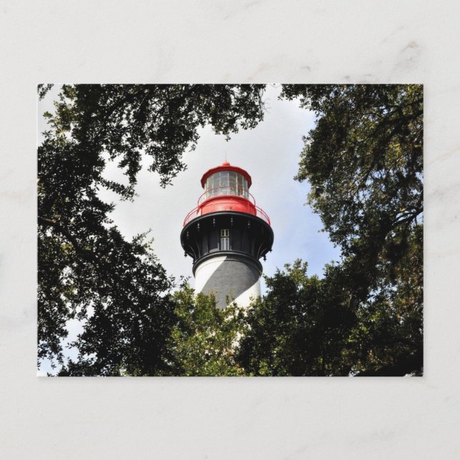 St. Augustine Lighthouse Top Framed by Oak Trees Postcard (Front)
