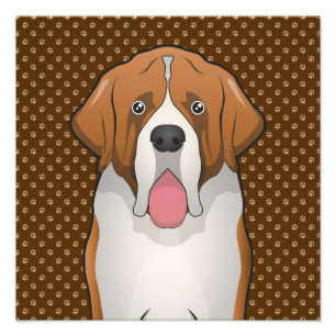 St. Bernard Cartoon (Saint Bernard) Photo Print