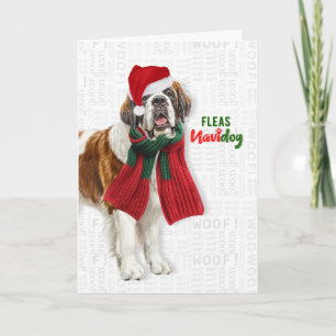 St Bernard Dog Funny Fleas Navidog Christmas Holiday Card