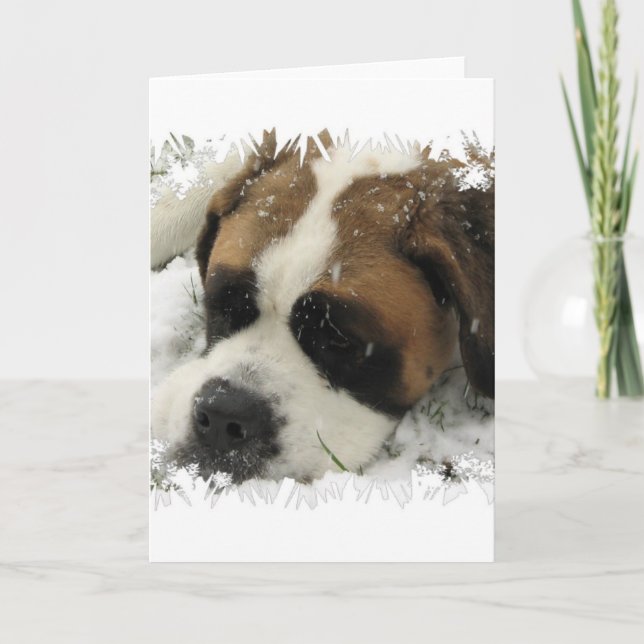 St Bernard Dog Greeting Card (Front)