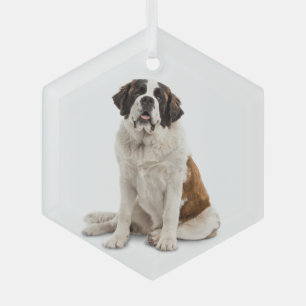 St. Bernard Dog Pet Animal Glass Tree Decoration