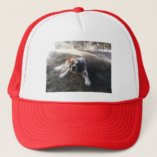 st Bernard hat