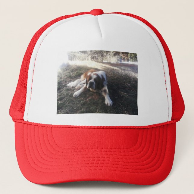 st Bernard hat (Front)