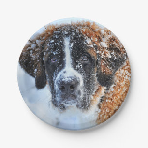St Bernard in the Snow Paper Plate