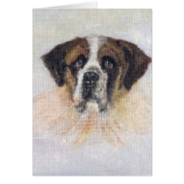 St Bernard Lucy (Front)