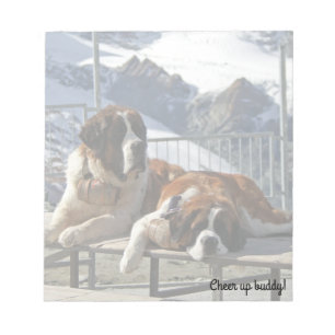 St-bernard posing - notepad