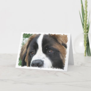 St Bernard Puppies Greeting Card