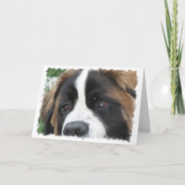 St Bernard Puppies Greeting Card (Front)