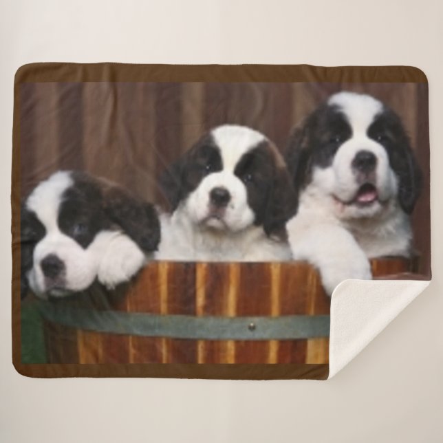 ST.BERNARD PUPPIES SHERPA BLANKET (Front (Horizontal))