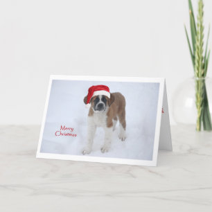 St Bernard Puppy Christmas Holiday Card