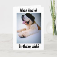 ST. BERNARD SENDS "HUGE" BIRTHDAY WISHES