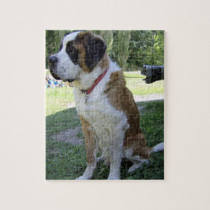 st bernard sitting 2 jigsaw puzzle