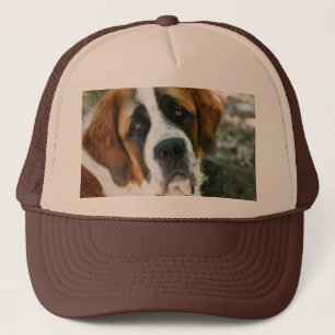 St. Bernard Trucker Hat