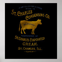 St Charles Illinois DAIRY COW MILK CREAM 1899