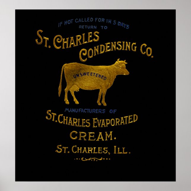 St Charles Illinois DAIRY COW MILK CREAM 1899 Poster (Front)