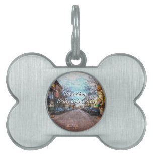 St Charles Main St Painterly Pet ID Tag
