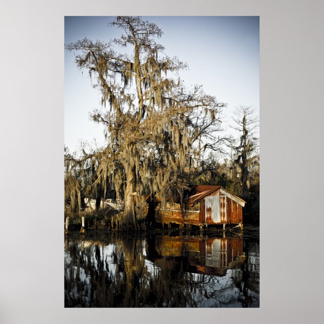 St Charles Parish Swamp Reflections Poster (Front)
