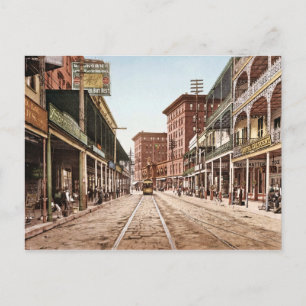 St. Charles Street New Orleans 1900 Vintage Postcard