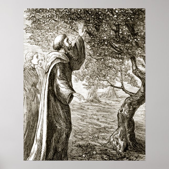 St. Columba changes bitter fruit into sweet, from Poster (Front)