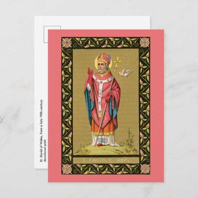 St. David of Wales (P 001) Postcard (Front/Back)