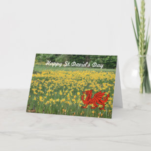 St. David's Day Daffodils Card