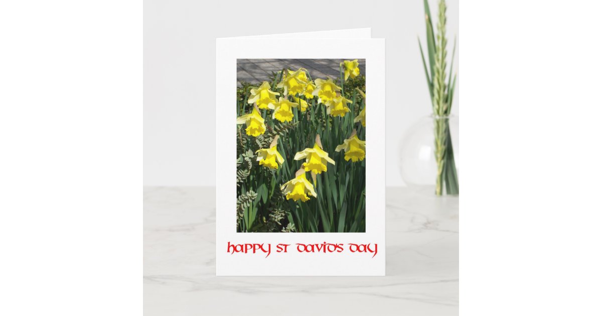 St David's Day Greeting Card | Zazzle