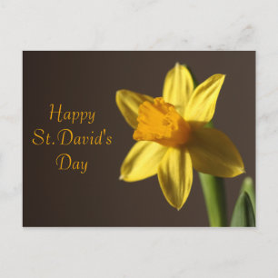 St.David's Day Postcard