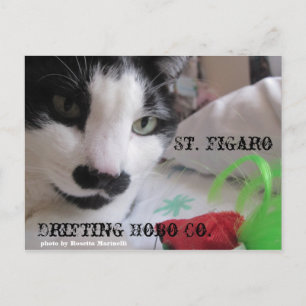 St. Figaro postcard