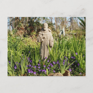 St. Francis Among Pansies Postcard