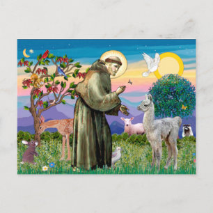 St Francis and Llama Baby Postcard