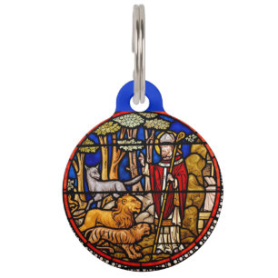 St. Francis Animal Protector Blue Pet Tag