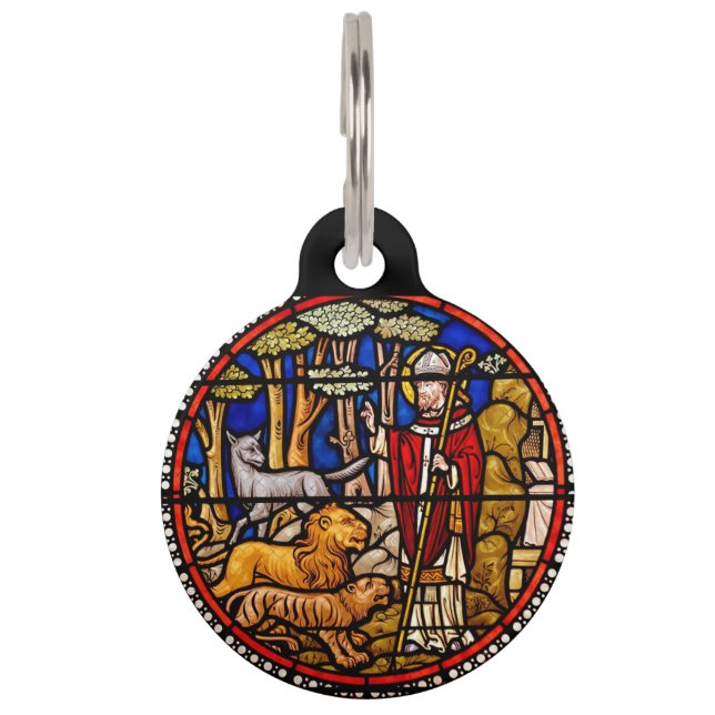 St. Francis Animal Protector Pet Tag (Front)