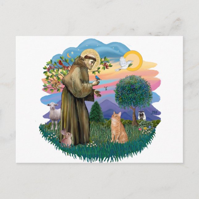 St Francis (ff) - Orange Tabby cat Postcard (Front)