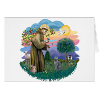 St Francis (ff) - Russian Blue cat