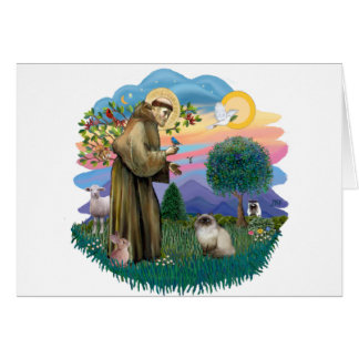 St Francis (ff) - Seal Point Himalayan cat