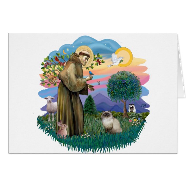 St Francis (ff) - Seal Point Himalayan cat (Front Horizontal)