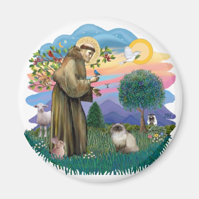 St Francis (ff) - Seal Point Himalayan cat Magnet (Front)