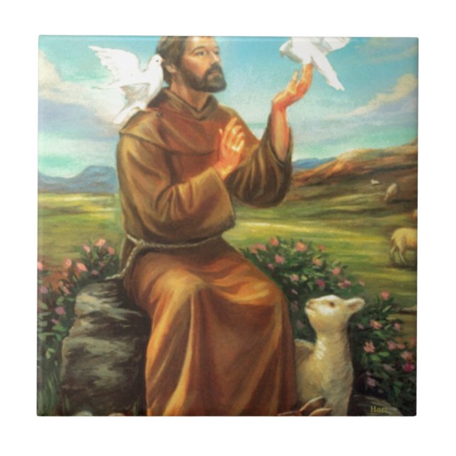 St. Francis Full-colour Tee, Tie, Mug, Samsung Tile (Front)